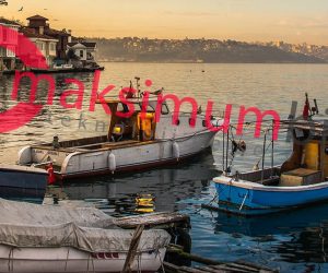 beykoz msi servis